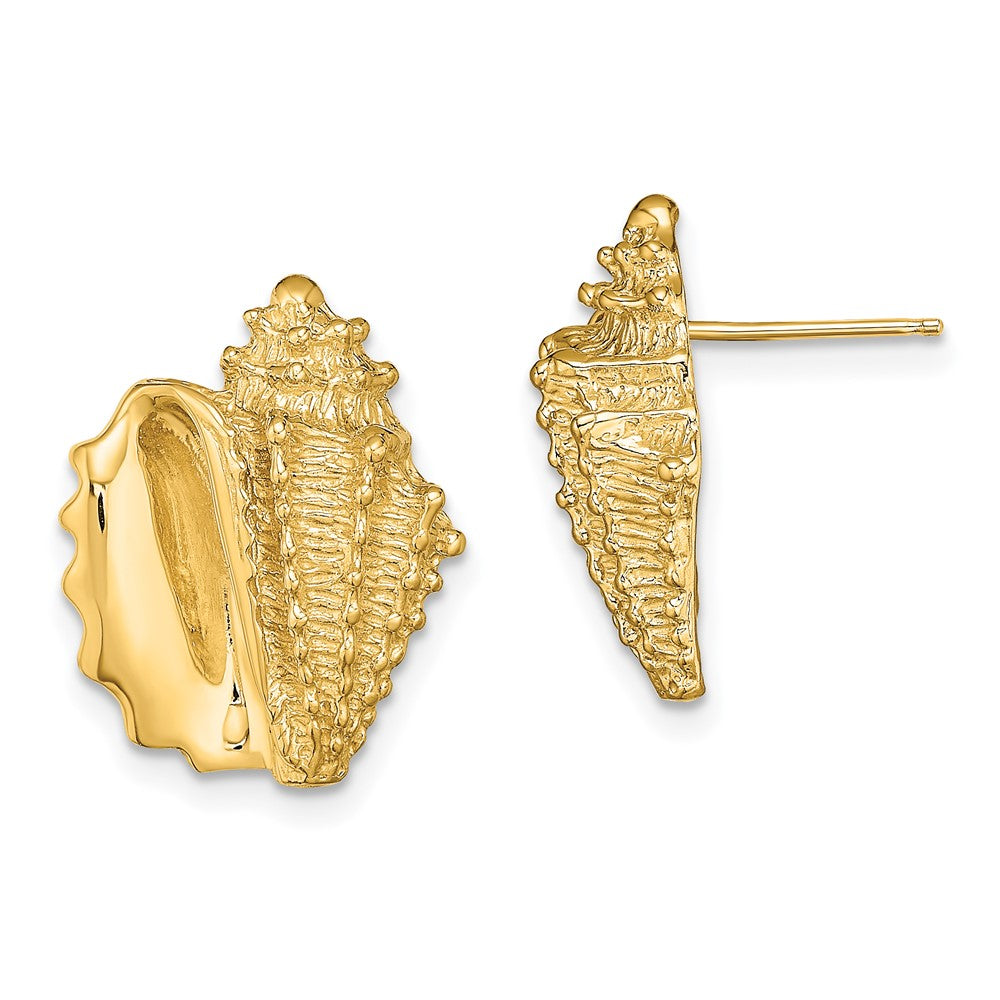 14K Yellow Gold 2D Conch Shell Post Earrings