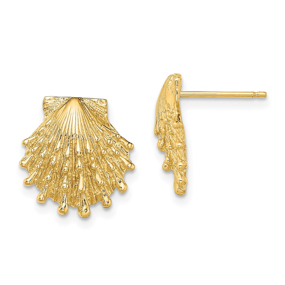 14K Yellow Gold Lion's Paw Shell Post Earrings