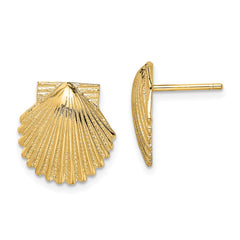 14K Yellow Gold 2D Polished Scallop Shell Post Earrings