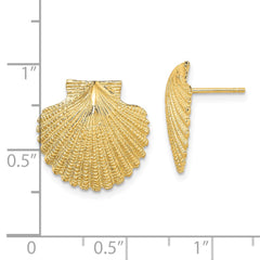 14K Yellow Gold 2D Textured Scallop Shell Post Earrings