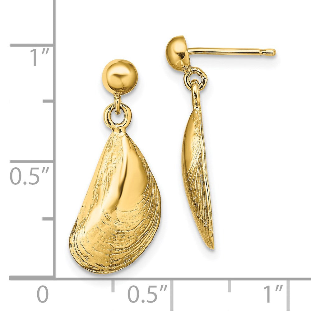 14K Yellow Gold Mussel Shell Dangle Earrings