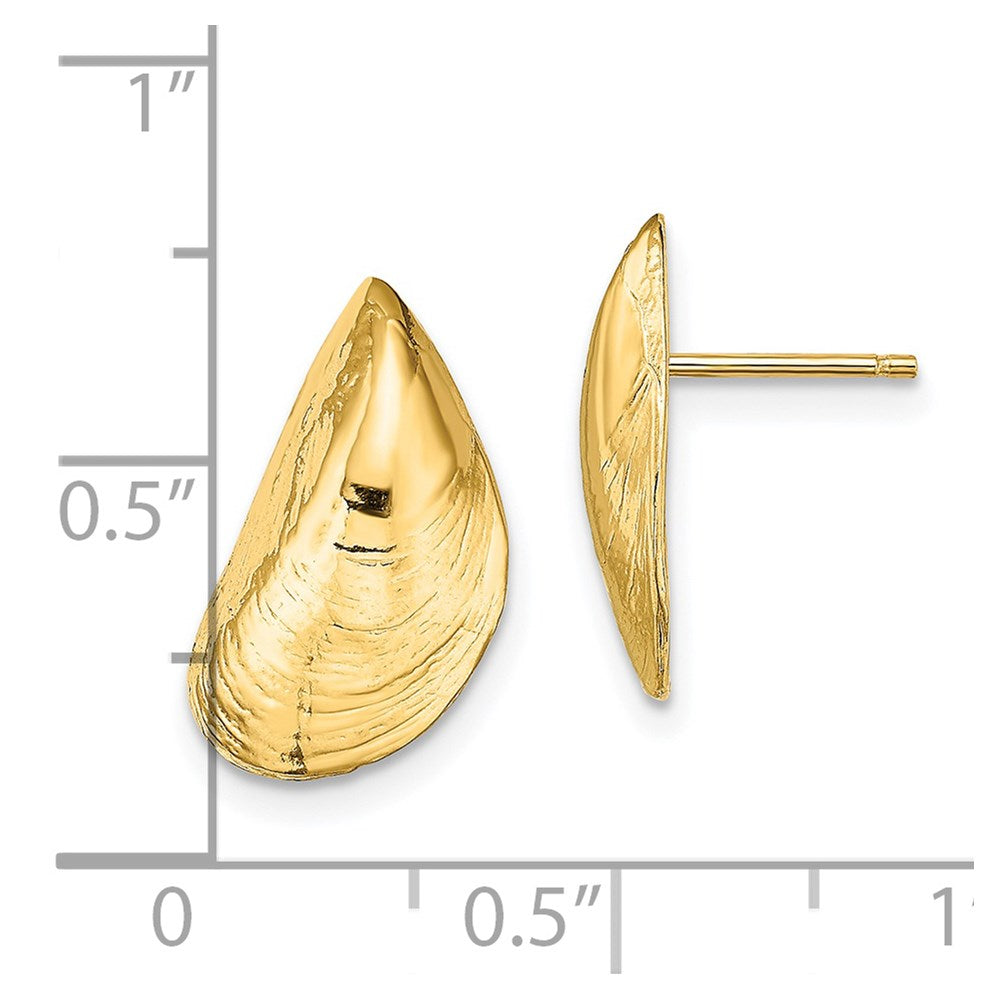 14K Yellow Gold Mussel Shell Post Earrings