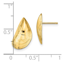 14K Yellow Gold Mussel Shell Post Earrings