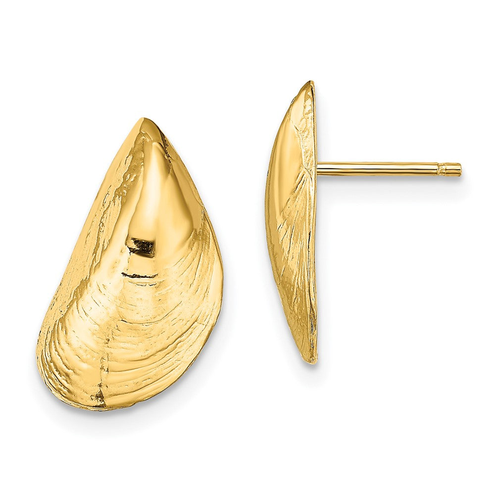 14K Yellow Gold Mussel Shell Post Earrings