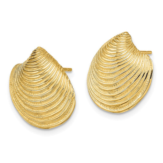 14K Yellow Gold 2D Textured and Polished Clam Shell Post Earrings