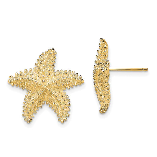 14K Yellow Gold Textured and Beaded Starfish Post Earrings