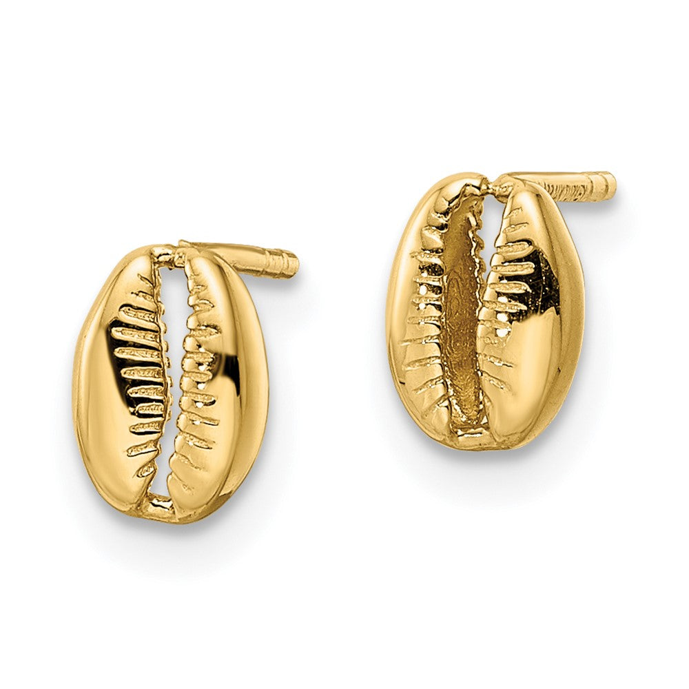 14K Yellow Gold Polished Shell Post Earrings