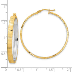 14K Two-Tone Gold Polished Diamond-cut Circle Hoop Earrings