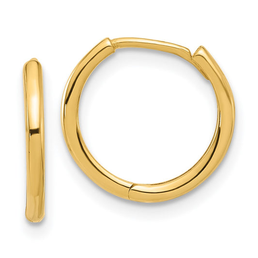 14K Yellow Gold Polished Hinged Hoop Earrings