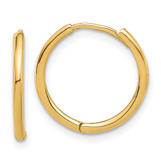 14K Yellow Gold Polished Hinged Hoop Earrings