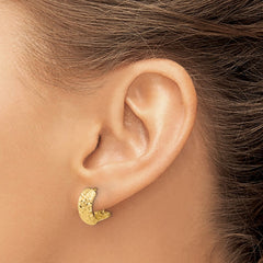 14K Yellow Gold Polished and Diamond-cut Omega Back Earrings