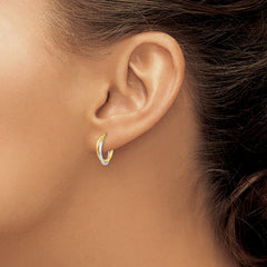 14K Two-Tone Gold Polished Hollow Hoop Earrings