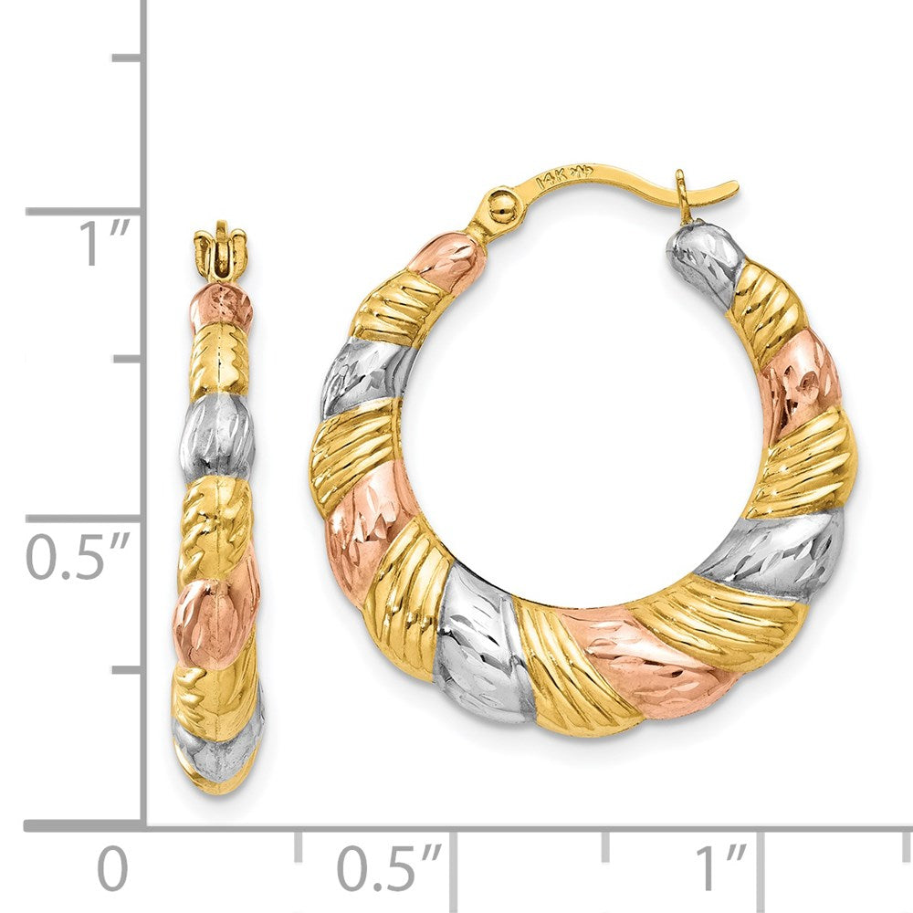 14K Tri-Color Gold Hollow Scalloped Hoop Earrings