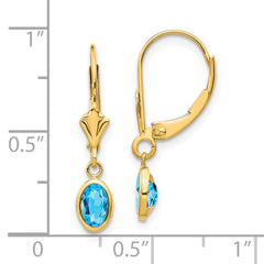 14K Yellow Gold 6x4 Oval Bezel December Blue Topaz Leverback Earrings