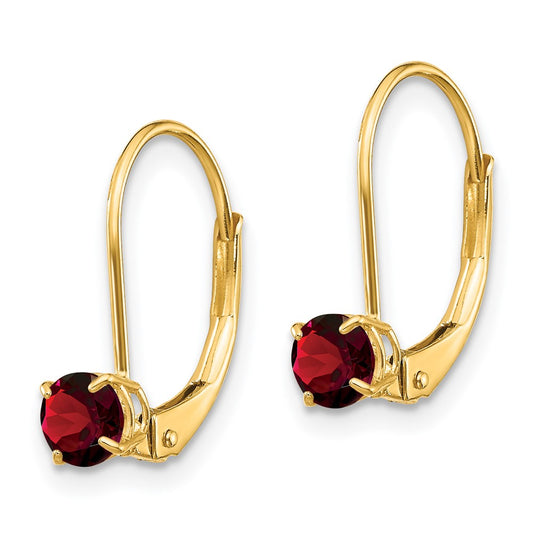 14K Yellow Gold Garnet Earrings - January