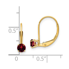 14K Yellow Gold Garnet Earrings - January