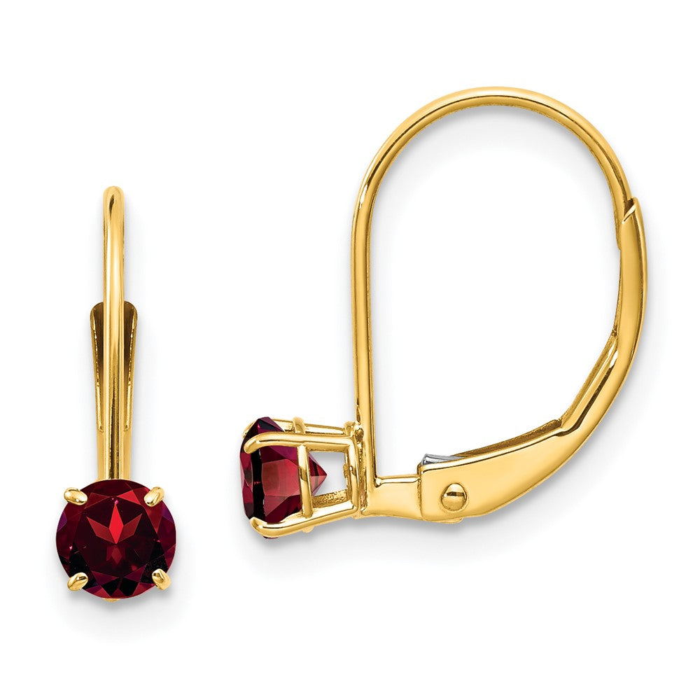 14K Yellow Gold Garnet Earrings - January