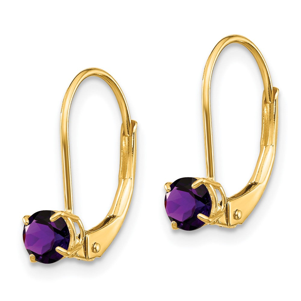 14K Yellow Gold Amethyst Earrings - February