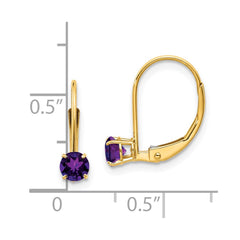 14K Yellow Gold Amethyst Earrings - February