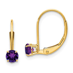 14K Yellow Gold Amethyst Earrings - February