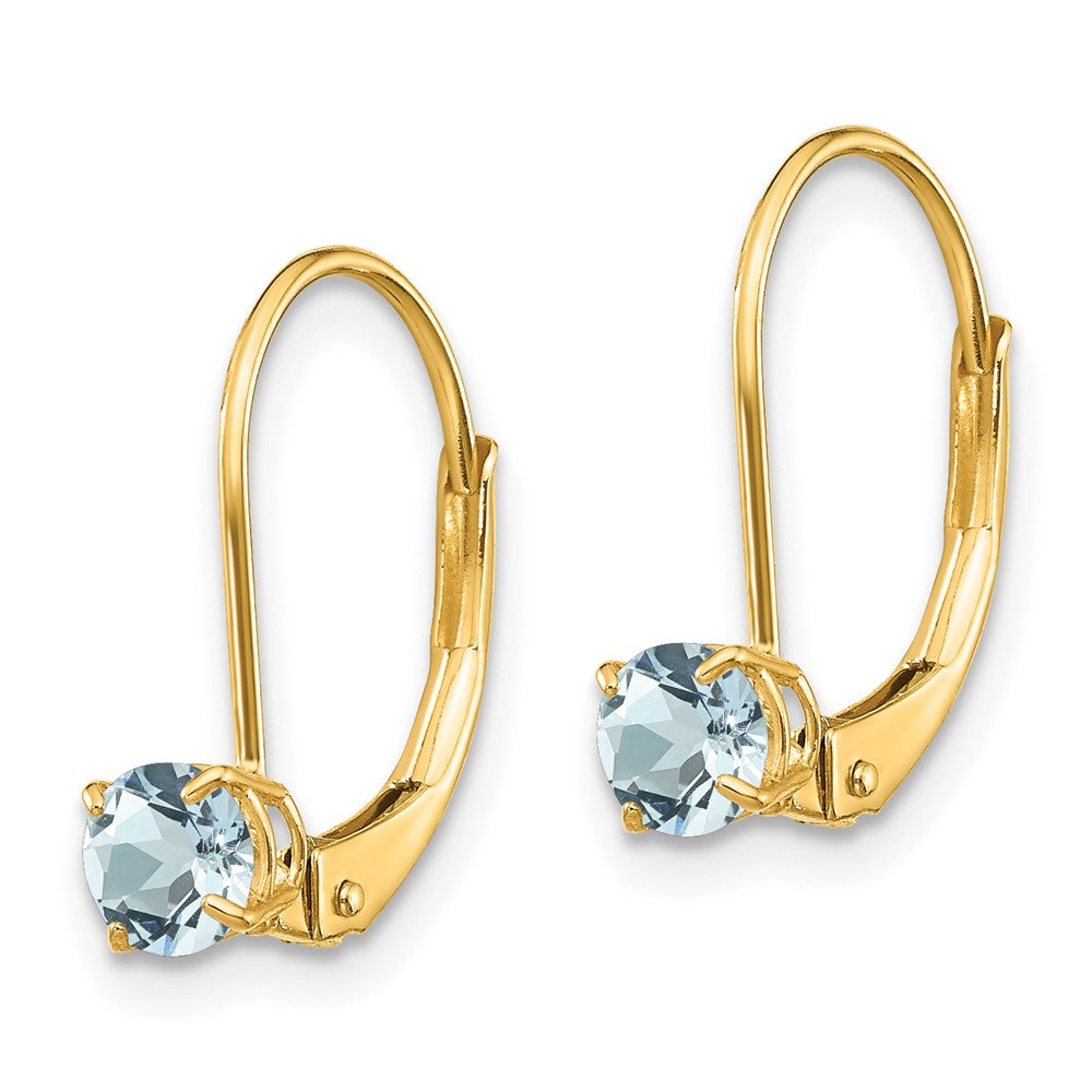 14K Yellow Gold Aquamarine Earrings - March