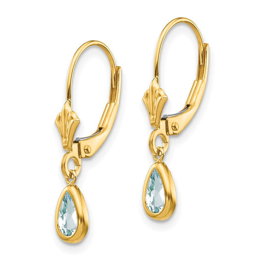 14K Yellow Gold 6x4mm March Aquamarine Earrings