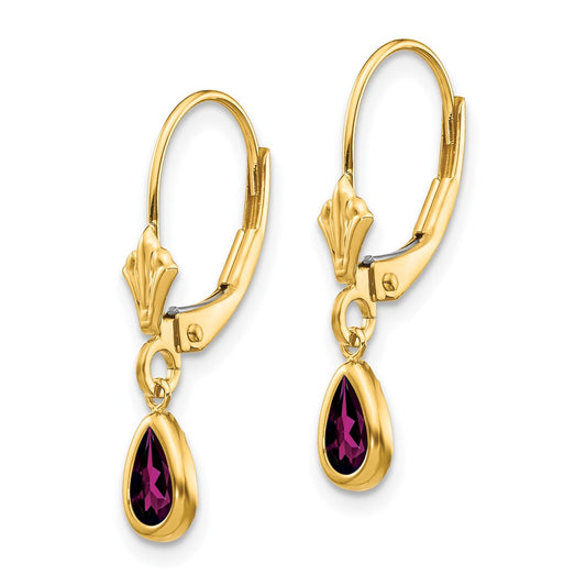 14K Yellow Gold 6x4mm Rhodolite Garnet June Earrings