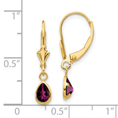 14K Yellow Gold 6x4mm Rhodolite Garnet June Earrings