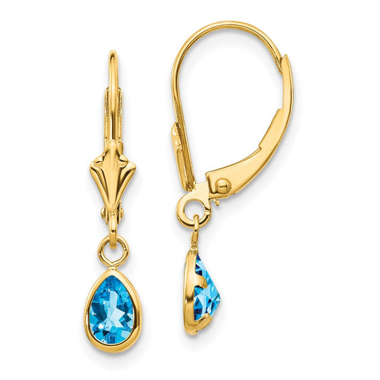 14K Yellow Gold 6x4mm December Blue Topaz Earrings