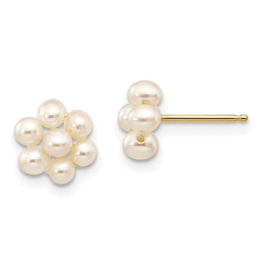 14K Yellow Gold 2-3mm White Egg FWC Pearl Flower Earrings