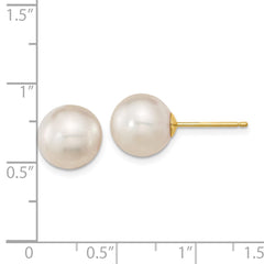 14K Yellow Gold 10-11mm White Round Saltwater Cultured South Sea Pearl Post Earrings