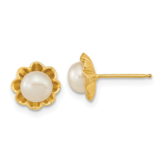 14K Yellow Gold 5-6mm White Button FWC Pearl Post Earrings