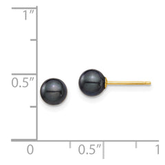 14K Yellow Gold 5-6mm Round Black Saltwater Akoya Cultured Pearl Stud Post Earrings
