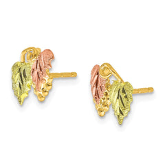 10K Tri-color Black Hills Gold Post Earrings