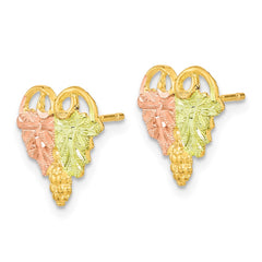 10K Tri-Color Black Hills Gold Post Earrings