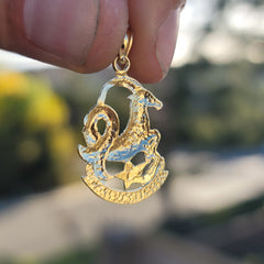 Sterling Silver Capricorn Zodiac Sign Pendant (Rhodium or Yellow Gold-plated)