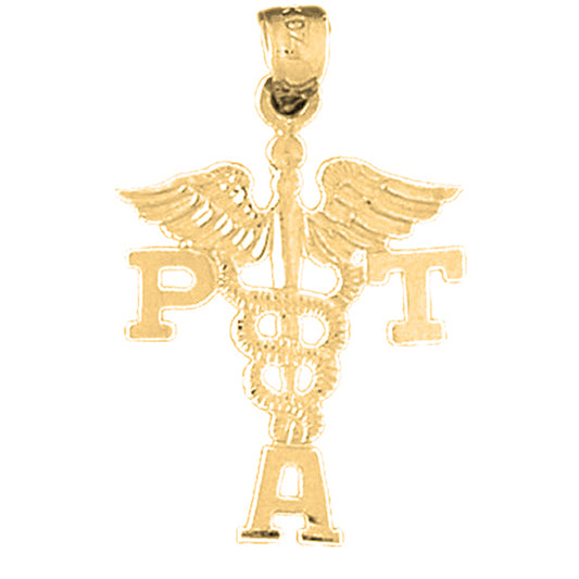Yellow Gold-plated Silver Pta Physical Therapist Assistant Pendant