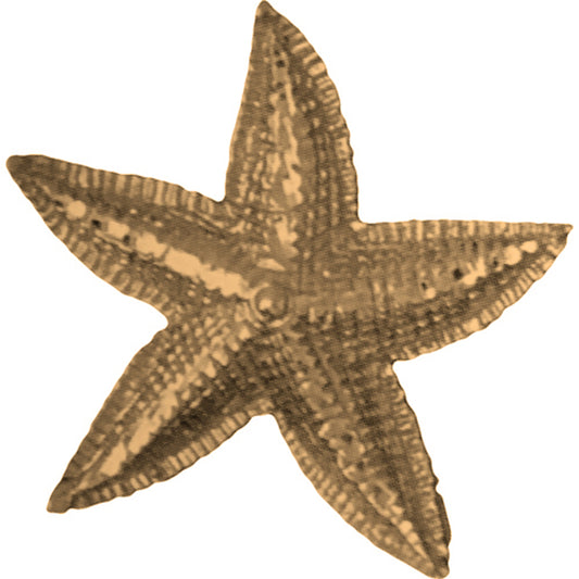 Yellow Gold-plated Silver Starfish Pendant